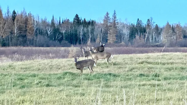 $190,000 | 16794 Driftwood Street, McGregor, MN 55760