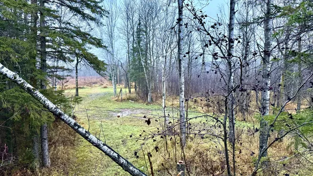 $190,000 | 16794 Driftwood Street, McGregor, MN 55760