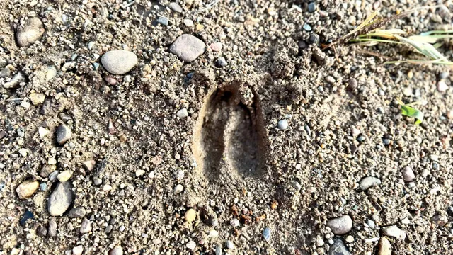 $190,000 | 16794 Driftwood Street, McGregor, MN 55760