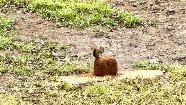 $190,000 | 16794 Driftwood Street, McGregor, MN 55760