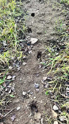 $190,000 | 16794 Driftwood Street, McGregor, MN 55760