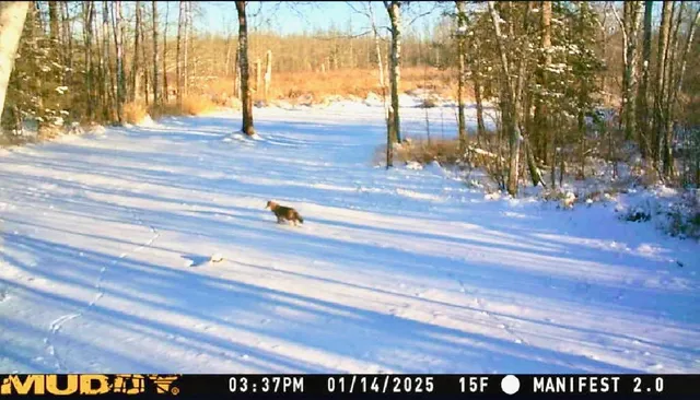 $190,000 | 16794 Driftwood Street, McGregor, MN 55760