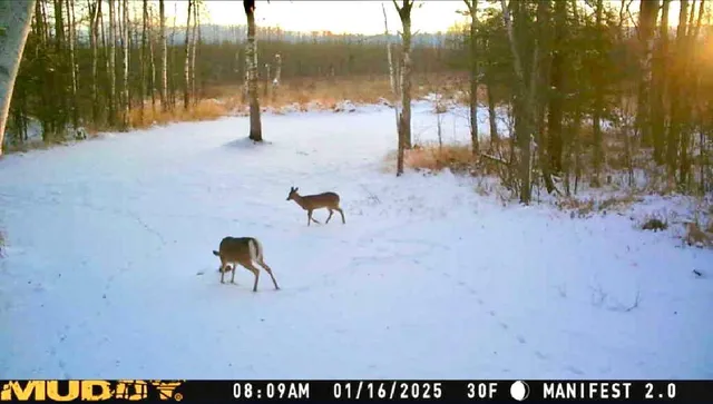 $190,000 | 16794 Driftwood Street, McGregor, MN 55760