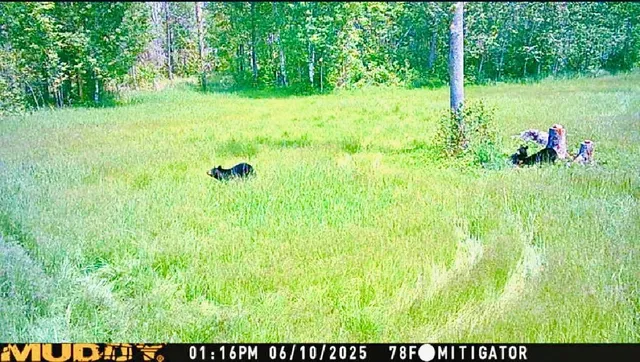 $190,000 | 16794 Driftwood Street, McGregor, MN 55760