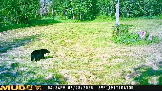 $190,000 | 16794 Driftwood Street, McGregor, MN 55760