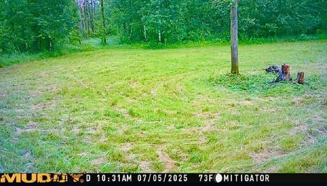 $190,000 | 16794 Driftwood Street, McGregor, MN 55760