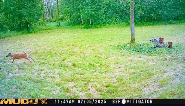 $190,000 | 16794 Driftwood Street, McGregor, MN 55760