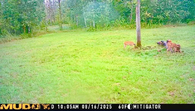 $190,000 | 16794 Driftwood Street, McGregor, MN 55760