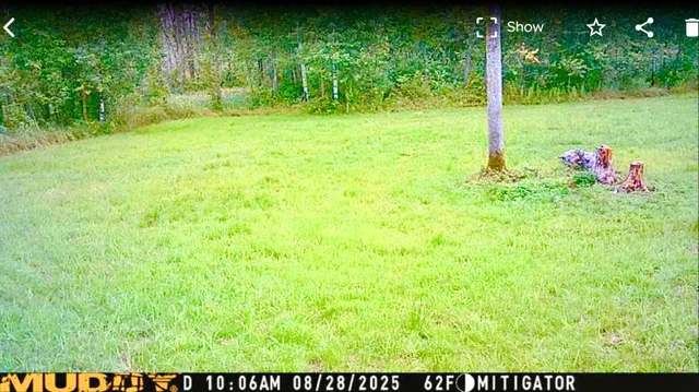 $190,000 | 16794 Driftwood Street, McGregor, MN 55760