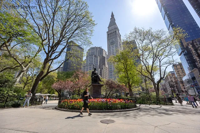 a view of a fountain in the middle of a park