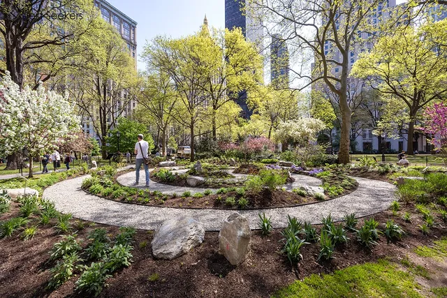 a view of a park with large trees