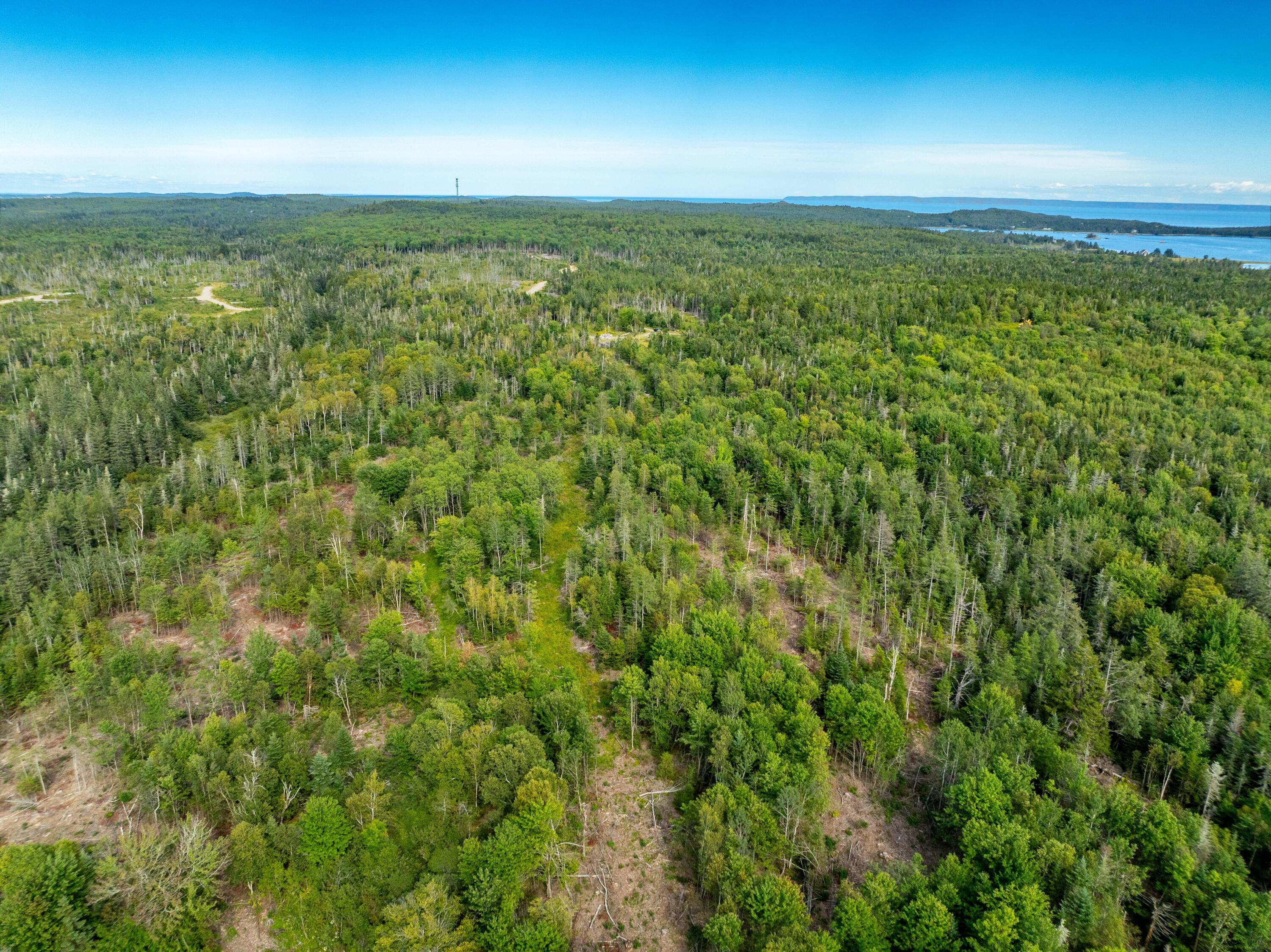 2 Map Lubec, ME 04652 - Photo 72 of 79 530+- acres Trescott Twp Maine (72 of 80