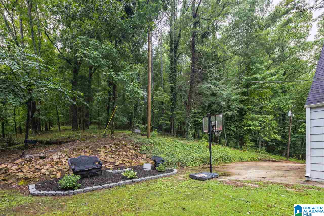 185 Mountain Drive Oneonta, AL 35121 - Photo 42 of 50