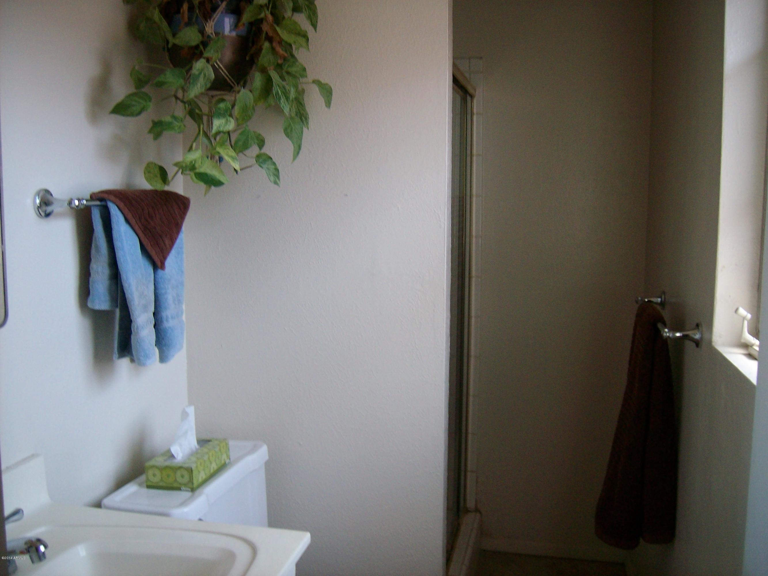 3830 West Bethany Home Road Phoenix, AZ 85019 - Photo 21 of 36 Master Bath