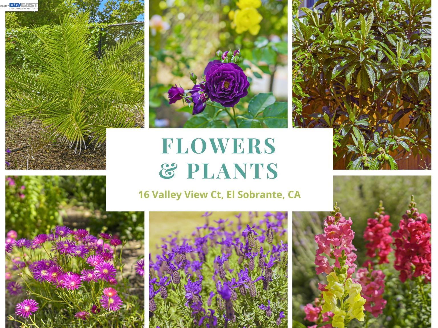 16 Valley View Court El Sobrante, CA 94803 - Photo 41 of 60