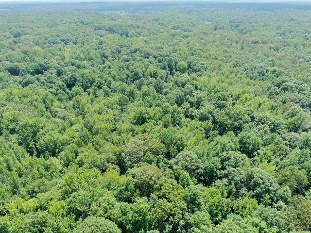 a map view of a garden
