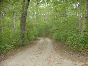 154 Eel River Road Osterville, MA 02655 - Photo 10 of 10 Additional Photo