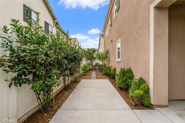 a view of backyard with potted plants