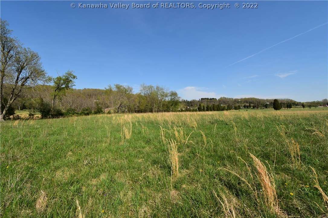 0 Ripley Road Cottageville, WV 25239 - Photo 15 of 26 Gallery Image 15