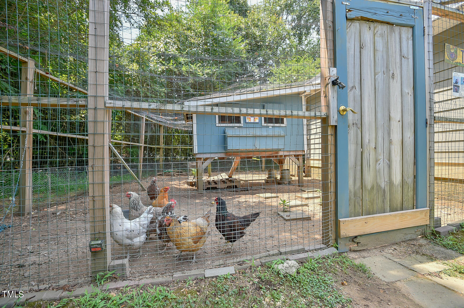 203 Stable Road Carrboro, NC 27510 - Photo 58 of 62 _DSC0249