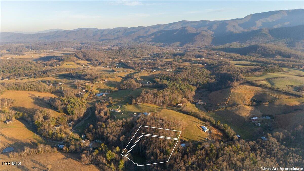 875 Frank Roberts Road, Unit 4 & 5 Afton, TN 37616 - Photo 9 of 36 08-DJI_20251213164205_0890_D2