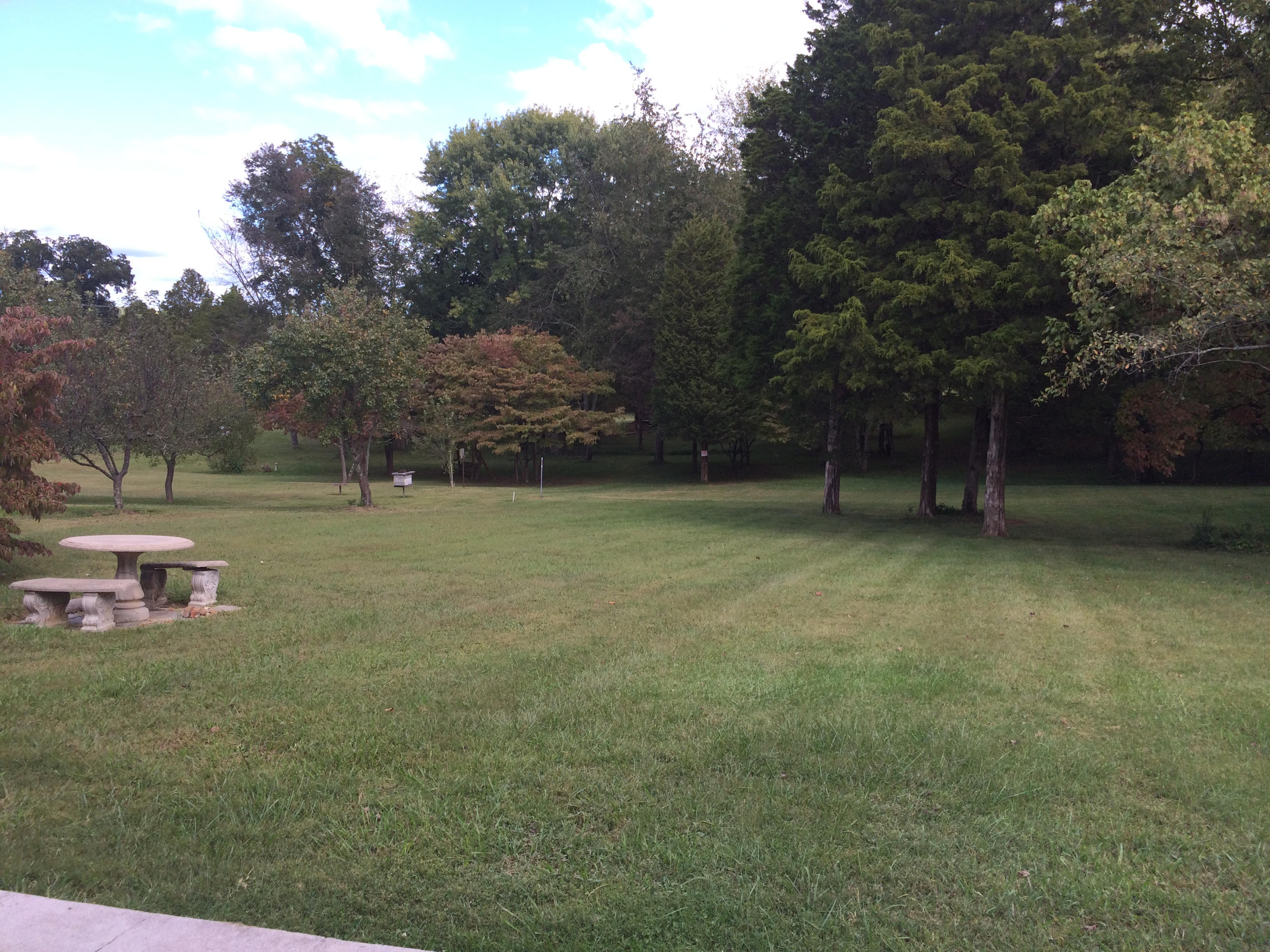 3734 Cherrylog Road Knoxville, TN 37921 - Photo 20 of 25 Backyard