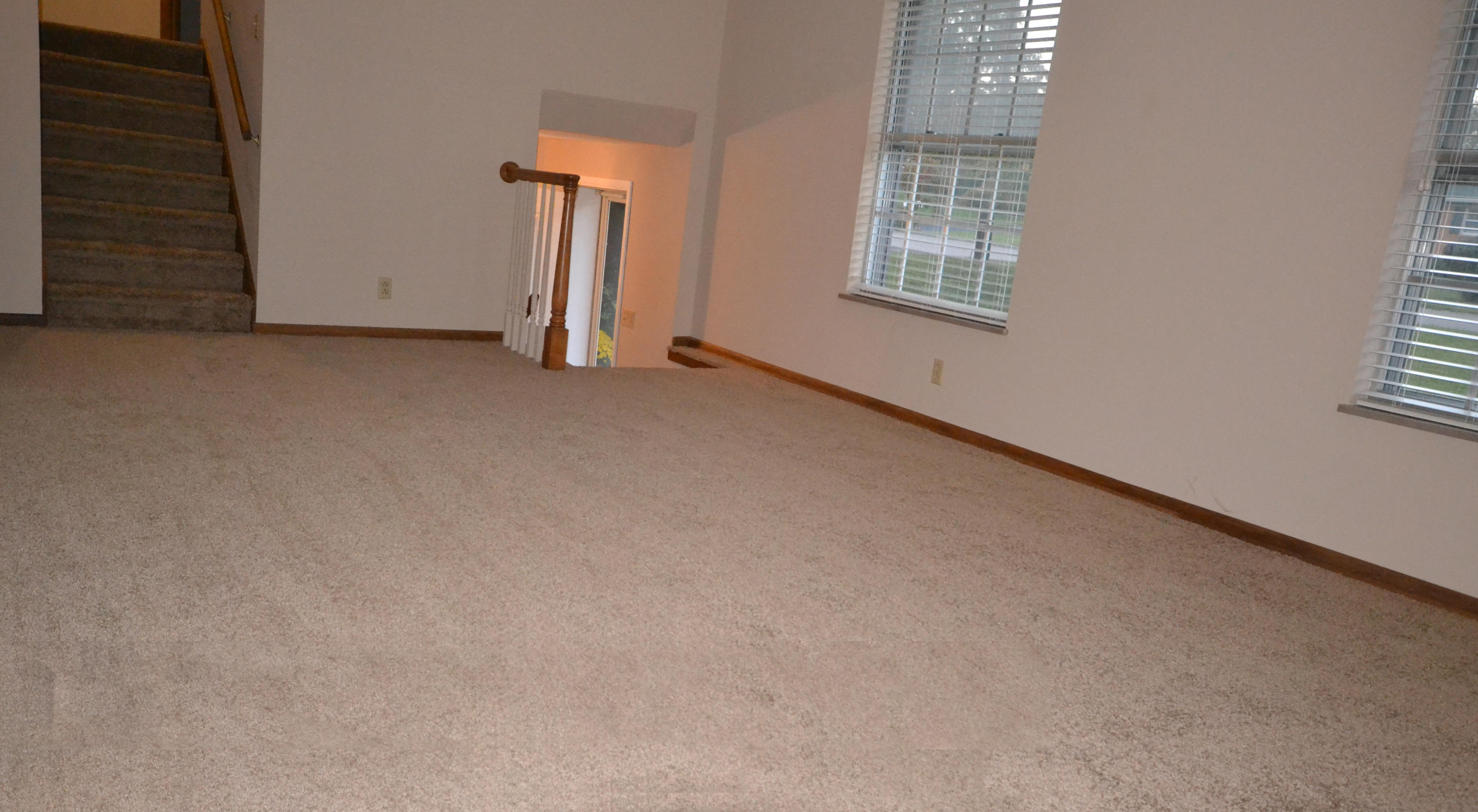 3734 Cherrylog Road Knoxville, TN 37921 - Photo 3 of 25 Brand new Frieze Carpet