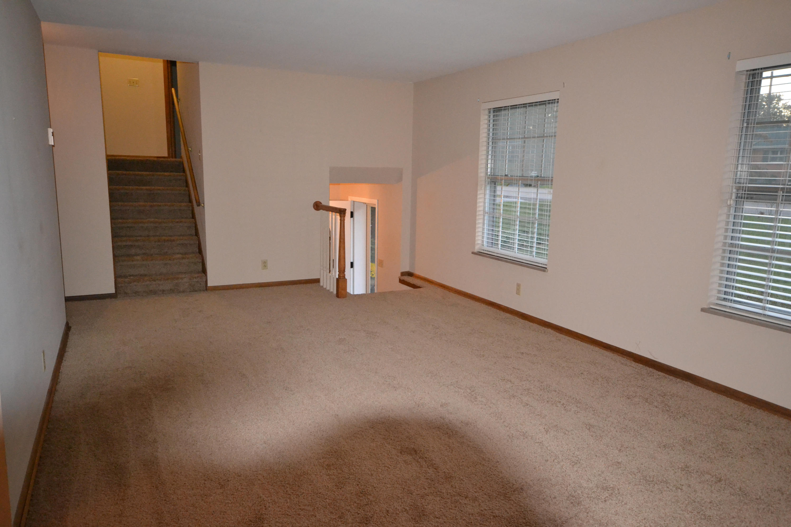 3734 Cherrylog Road Knoxville, TN 37921 - Photo 25 of 25 Living room with new carpet