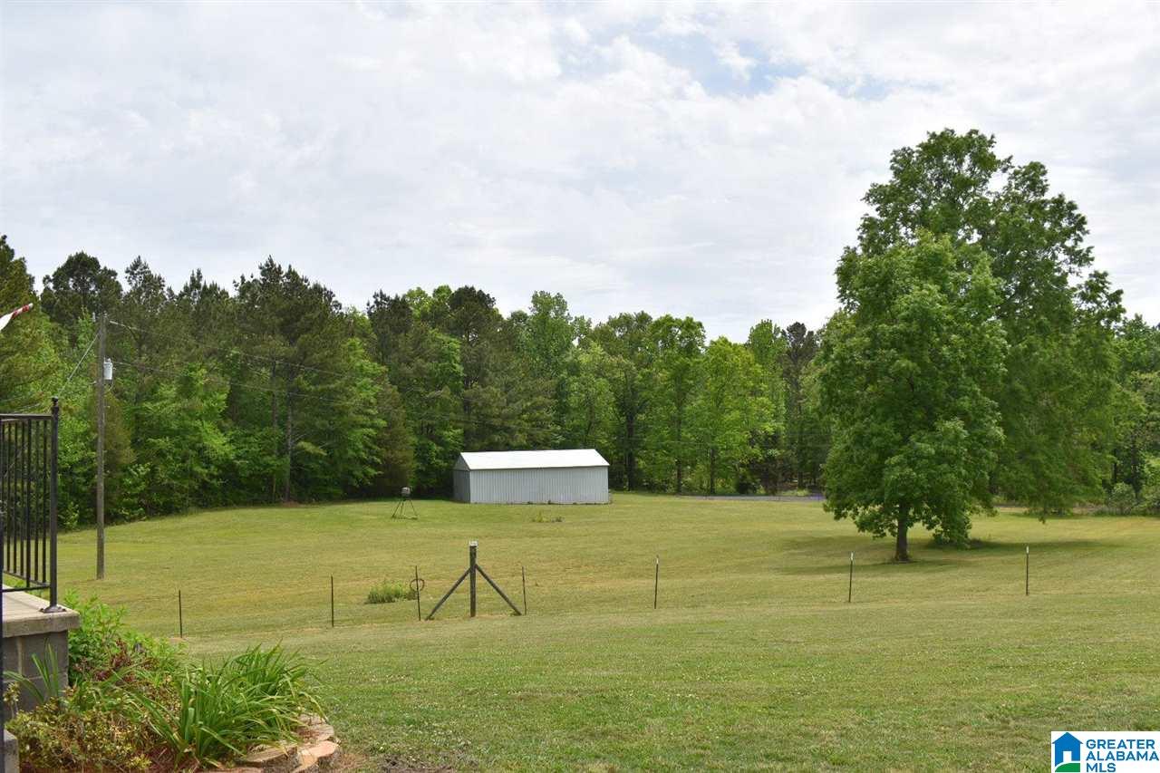 263 Bama Trail Ohatchee, AL 36271 - Photo 3 of 28