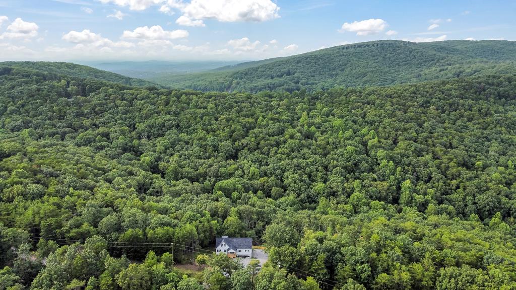 587 Oak Trace East Jasper, GA 30143 - Photo 42 of 47 a view of a big yard