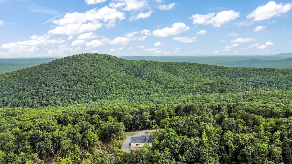 587 Oak Trace East Jasper, GA 30143 - Photo 45 of 47 a view of a bunch of trees