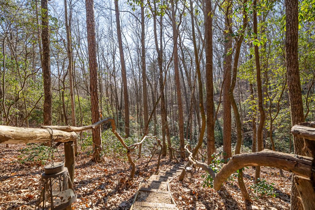 229 Ringtail Run Murphy, NC 28906 - Photo 57 of 68 Gallery Image 57
