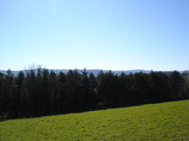 118 Tyrell Road Cobleskill, NY 12043 - Photo 9 of 12 Photo 9
