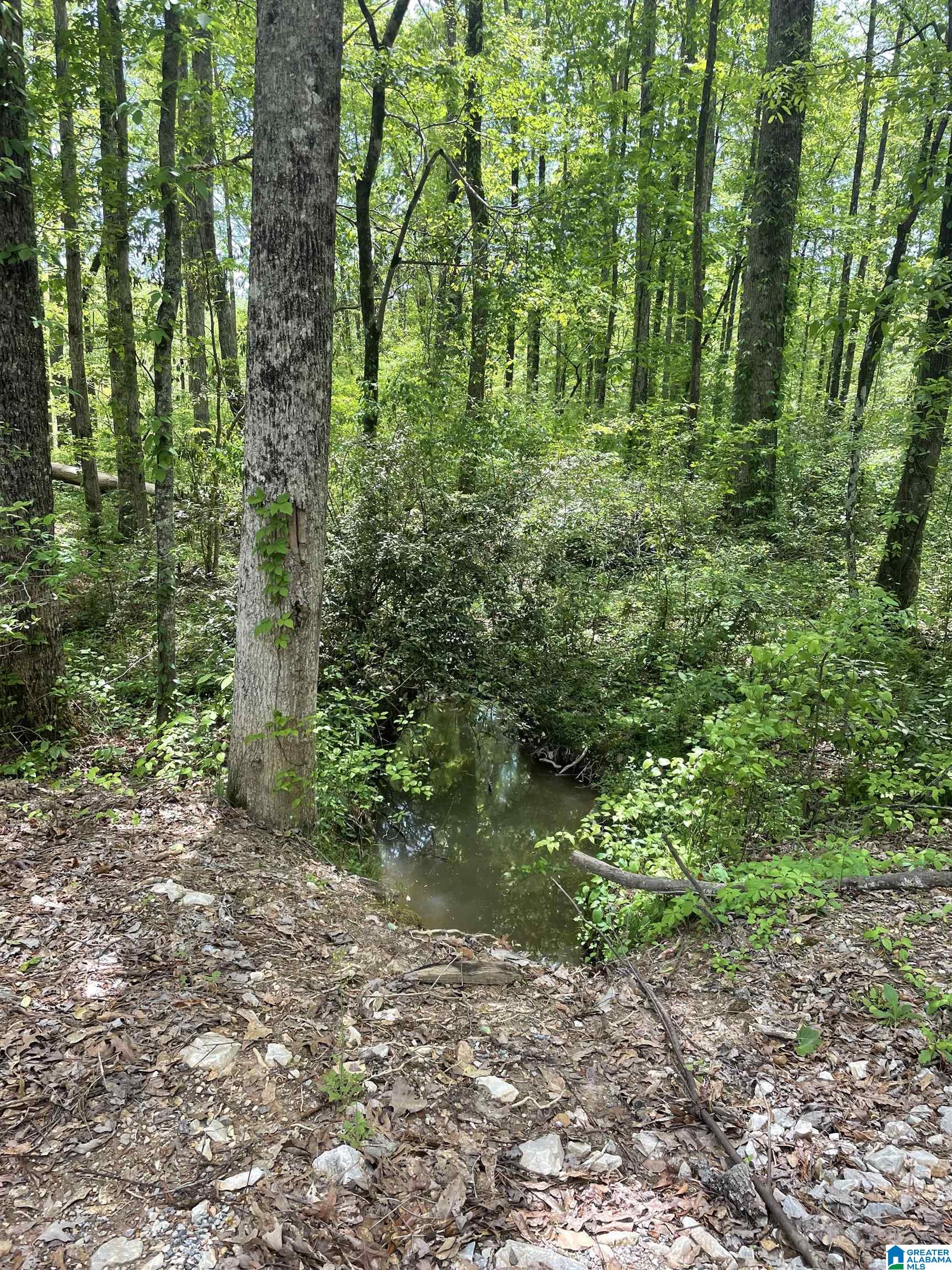 30 Gum Springs Road Sylacauga, AL 35151 - Photo 17 of 18