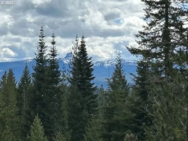 a view of a city with lots of bushes