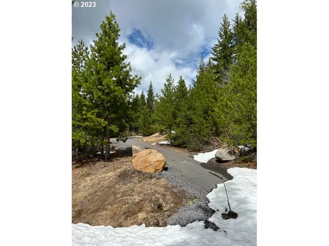 a view of a backyard of the house