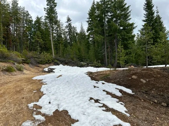 a view of road with yard