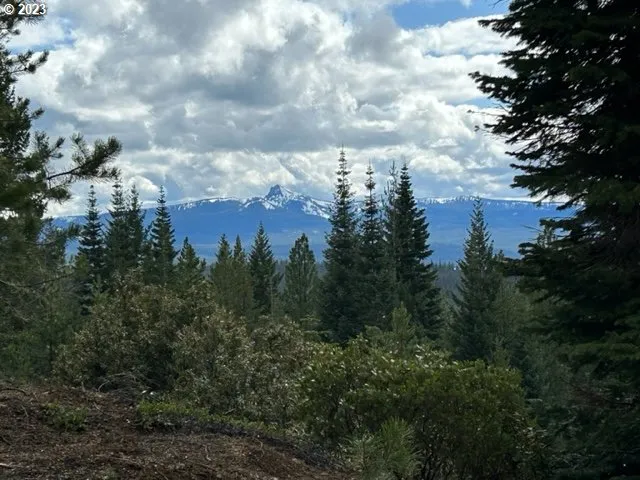 a view of a city with lush green forest