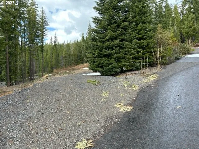 a view of a dirt road with trees in the background
