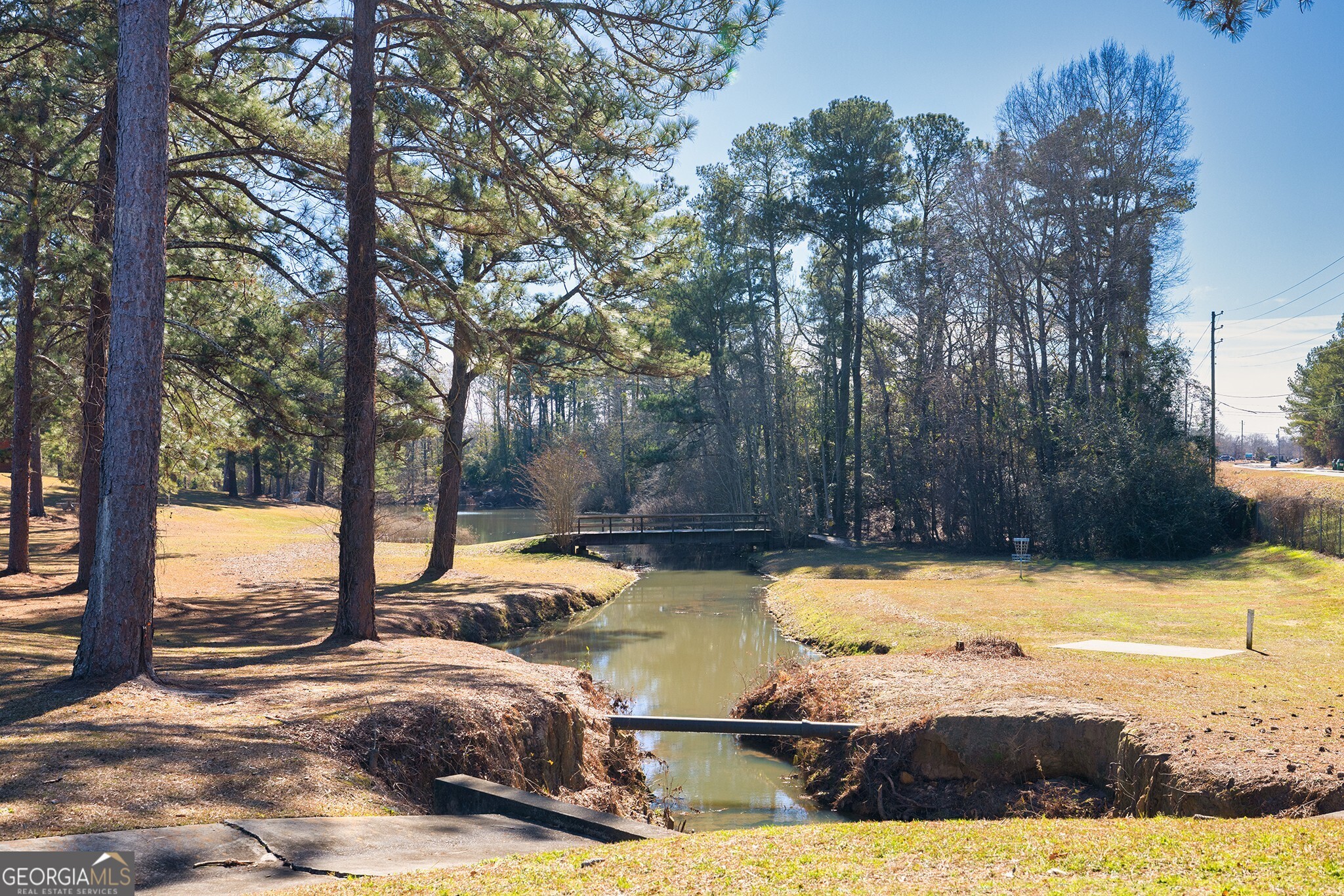 115 Bramblewood Lane Perry, GA 31069 - Photo 12 of 28 a view of swimming pool with trees in the background