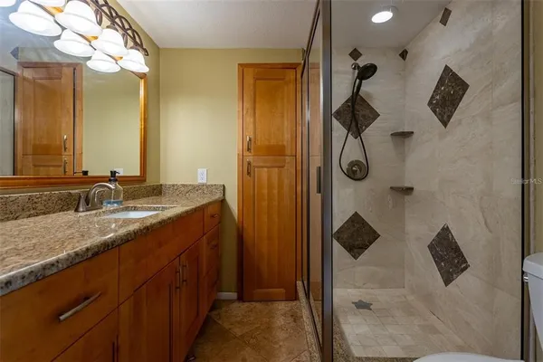 a view of a house with potted plants and a fountain
