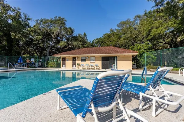 a view of a garden with plants