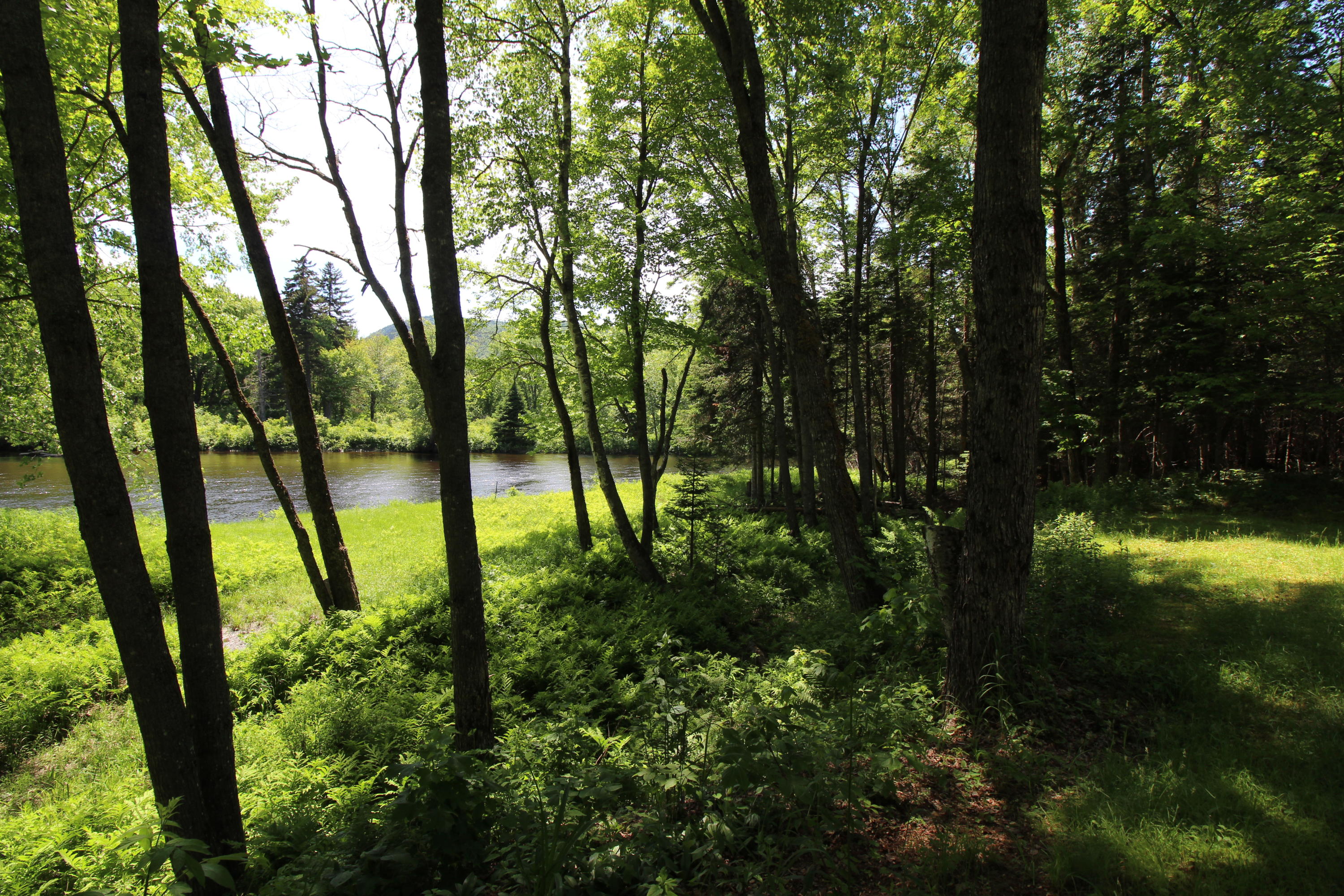 Lot 1 Cross Road Andover, ME 04216 - Photo 4 of 28 IMG_1638