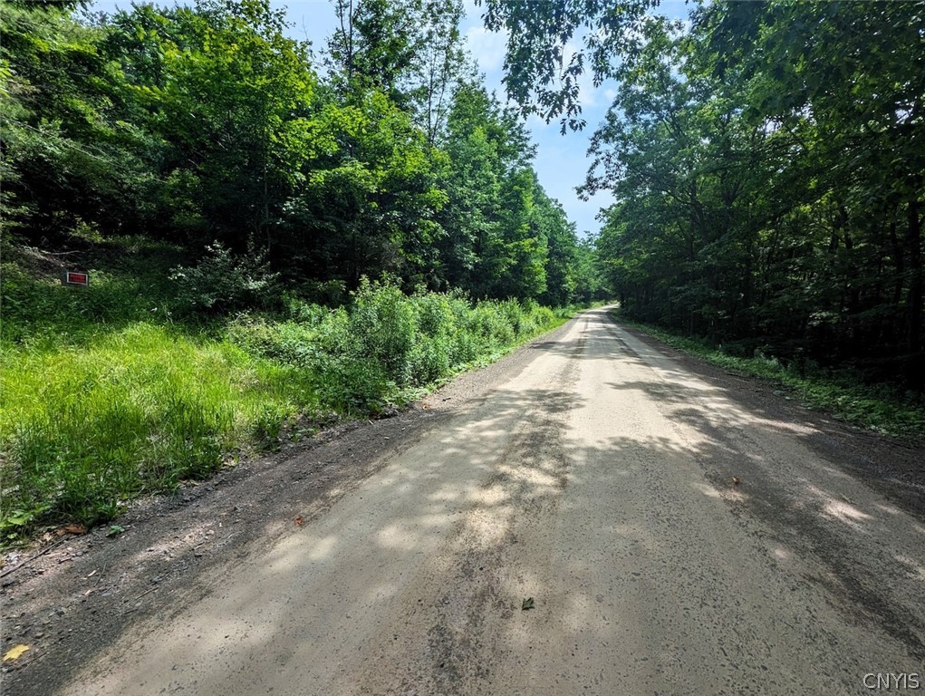 Keifer Hollow Road Dansville, NY 14437 - Photo 30 of 33