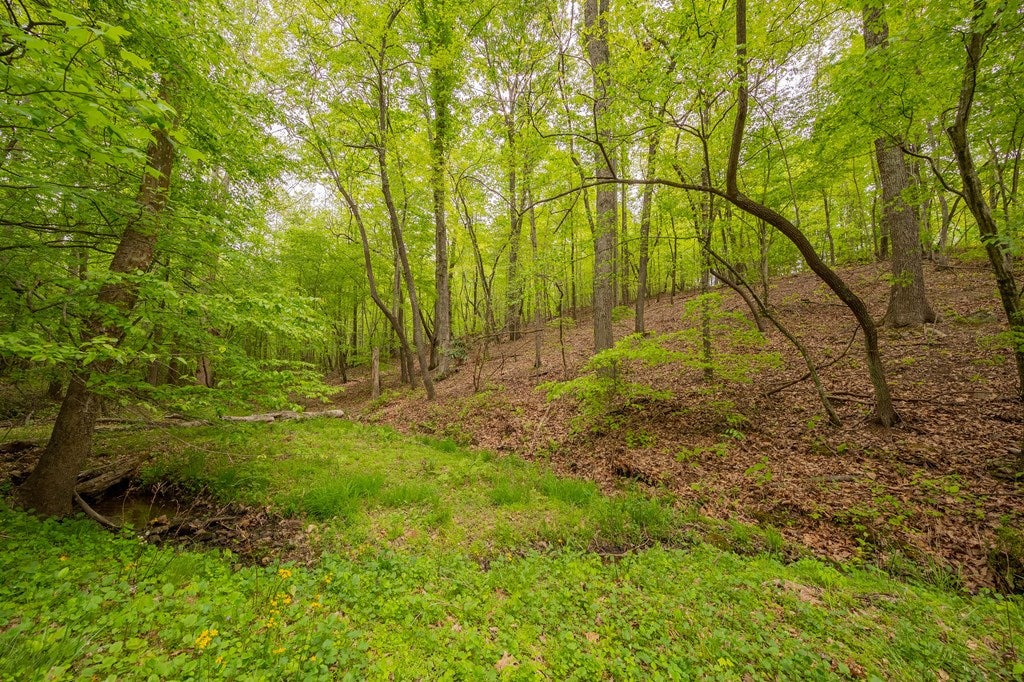 180 Gilbert Valley Road, Unit 67 Stuart, VA 24171 - Photo 13 of 53 Gallery Image 13