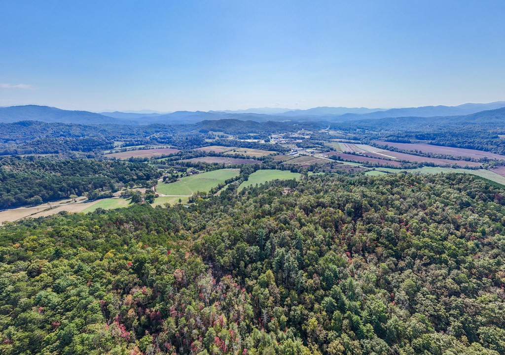 0 Mistletoe Ridge Murphy, NC 28906 - Photo 15 of 34