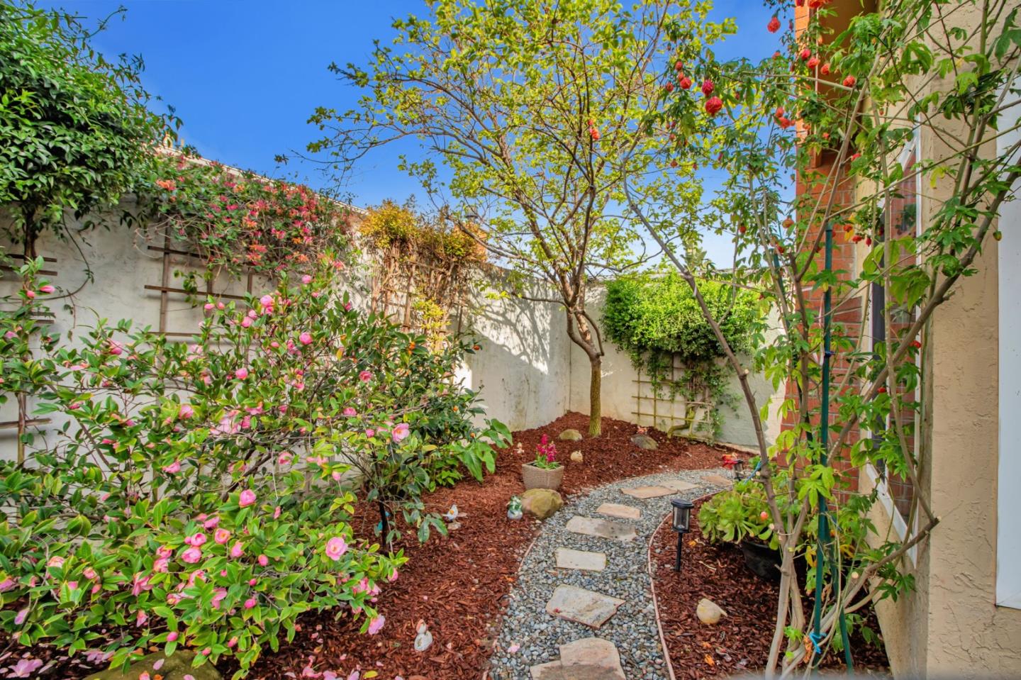 4793 Corte De Cervato San Jose, CA 95136 - Photo 36 of 45 a backyard of a house with lots of green space