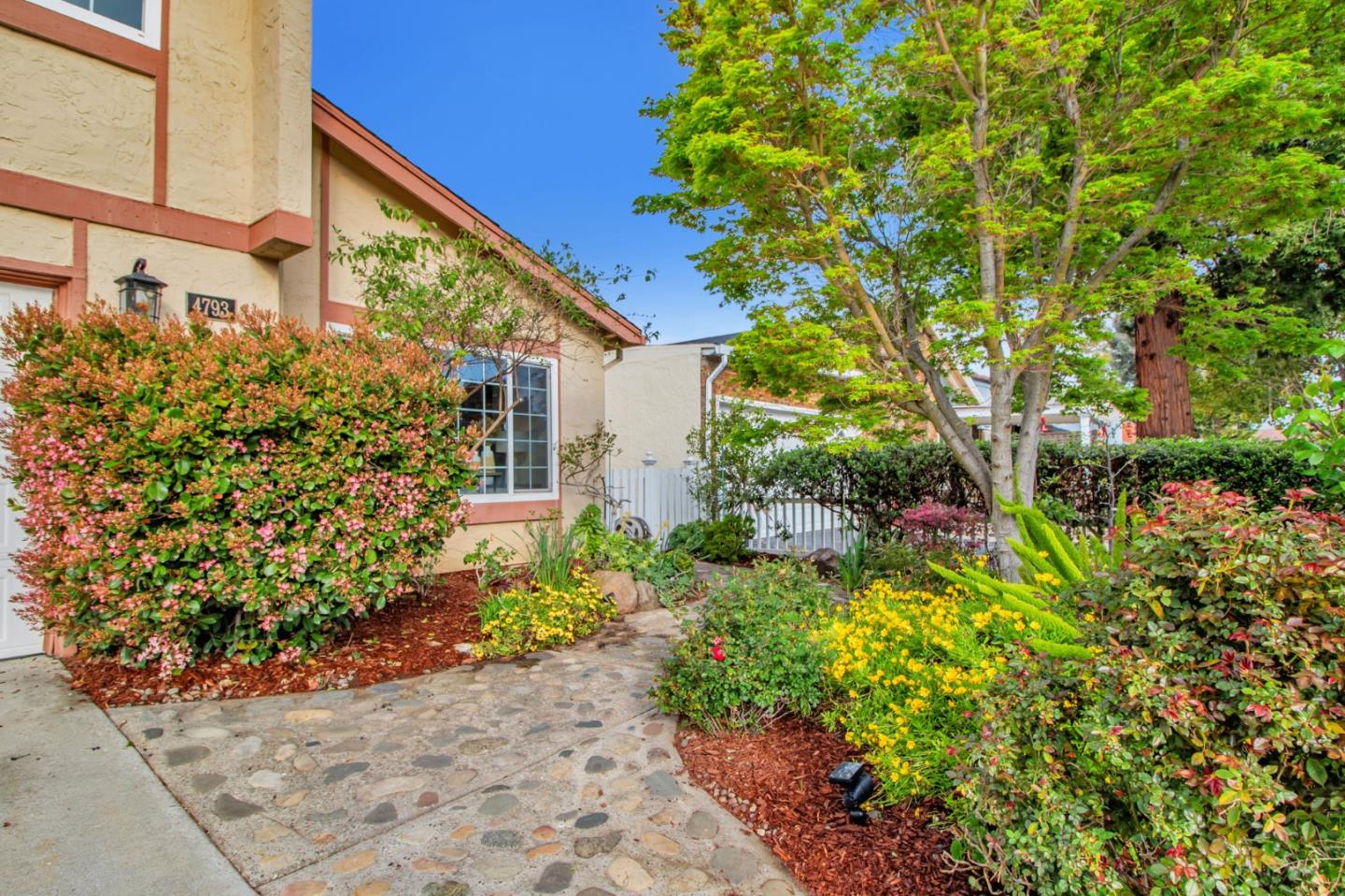4793 Corte De Cervato San Jose, CA 95136 - Photo 4 of 45 a plant is in front of a house