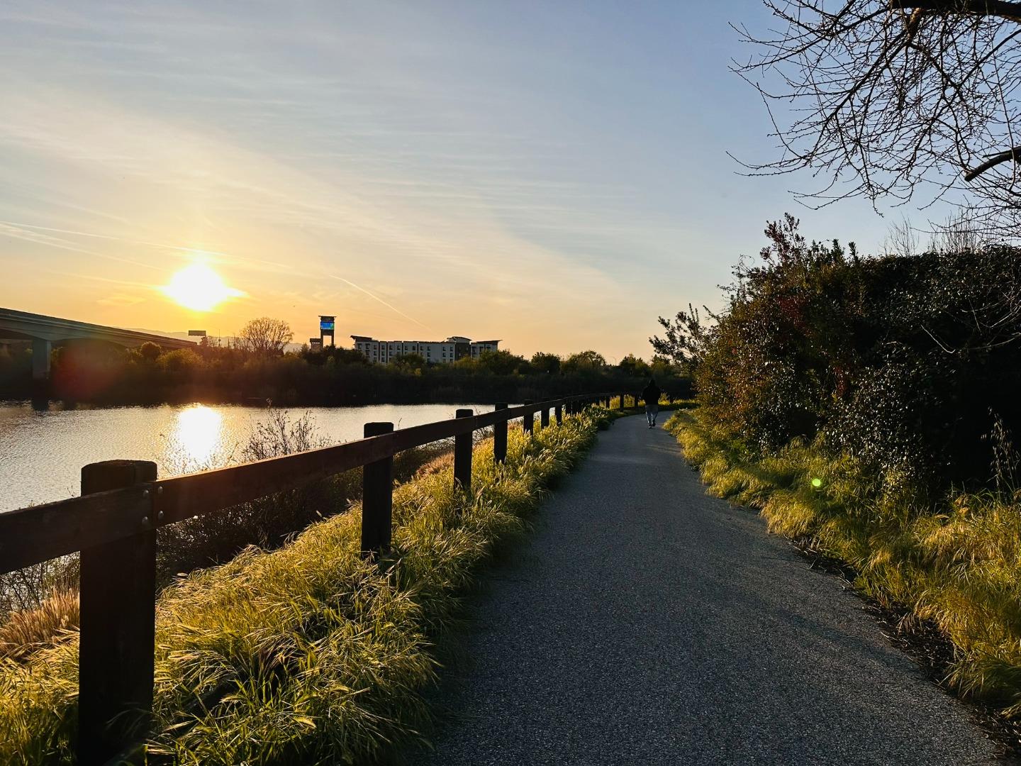4793 Corte De Cervato San Jose, CA 95136 - Photo 44 of 45 a view of a lake with a garden
