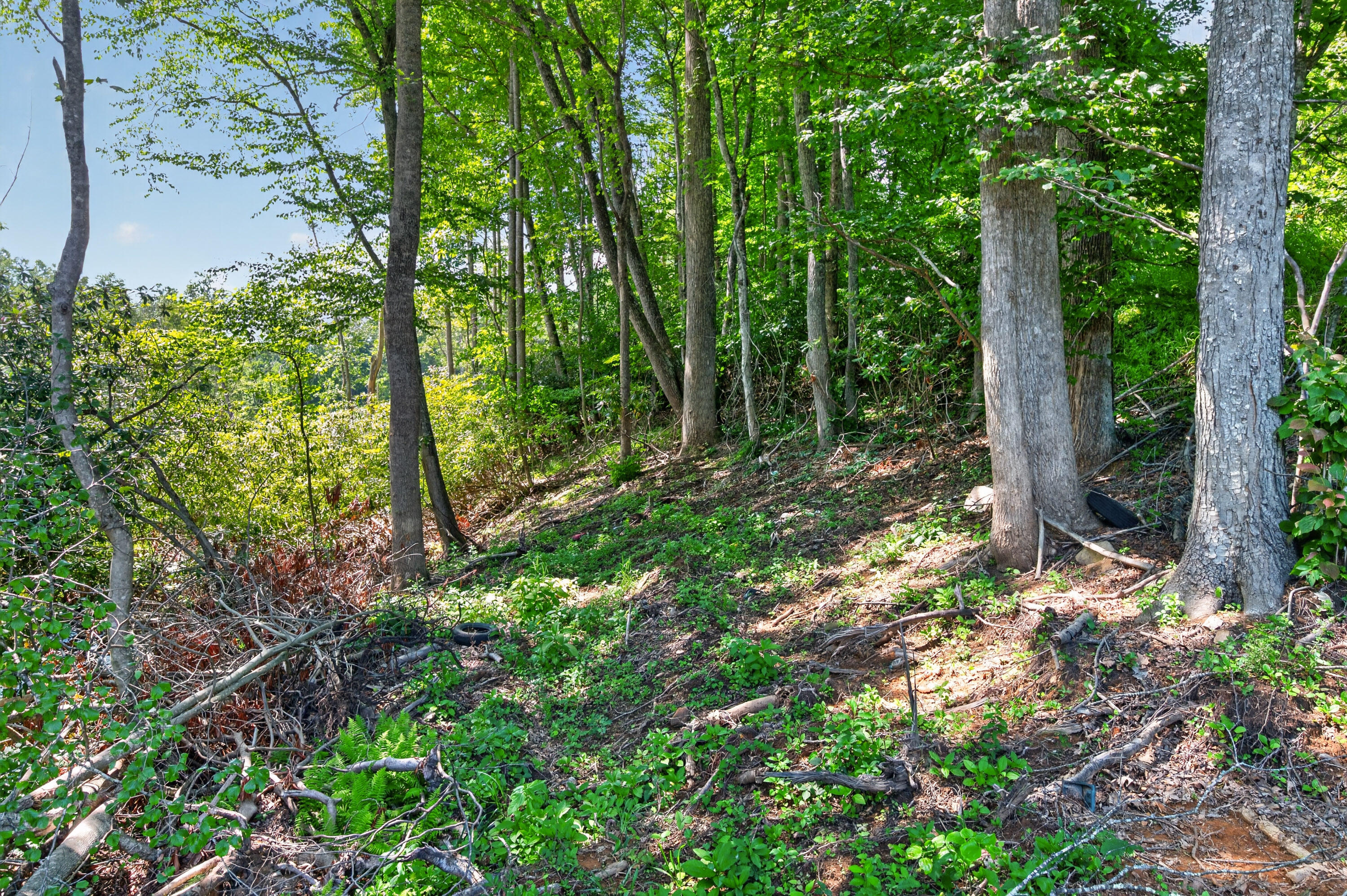 6196 Chances Creek Road Fancy Gap, VA 24328 - Photo 63 of 78 64